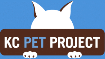 Kc Pet Project Adopt A Pet This Holiday Season