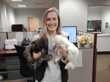 Bring your Silkie Chicken to work day.