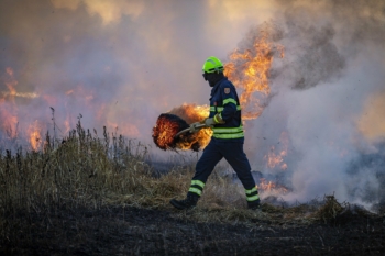 Firefighters